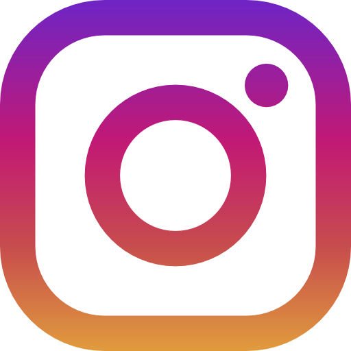 VECEE instagram icon