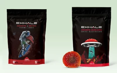 Elyxr VS Exhale Wellness Mushroom Edibles Review 2024