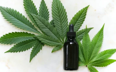 Is CBD Legal in the UK: A Detailed Guide